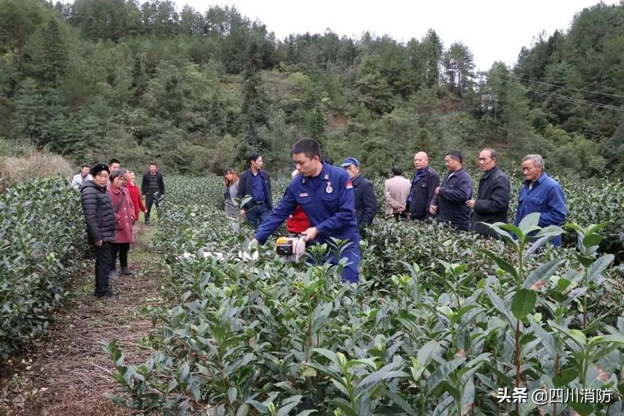 南江县市场监督管理局新项目推动市场监管现代化，助力地方经济飞跃发展