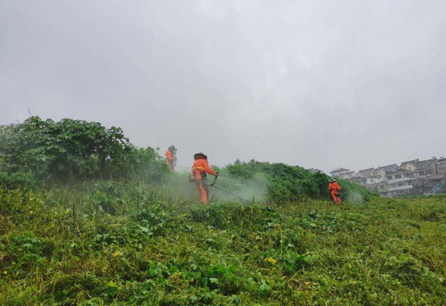 高淳县傅家坛林场天气预报更新通知